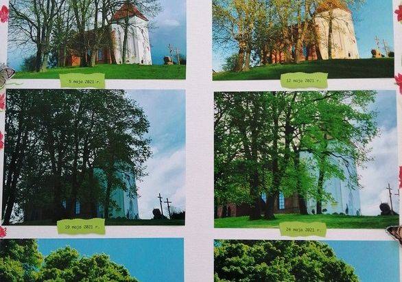 Grafika 1: Konkurs " Miejsce na nowo odkryte"