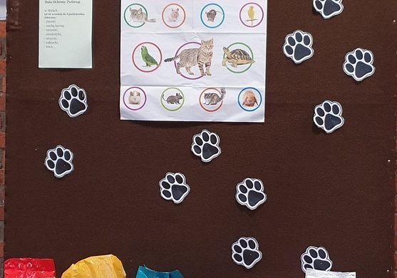Grafika 1: Zbiórka na rzecz bezdomnych zwierząt