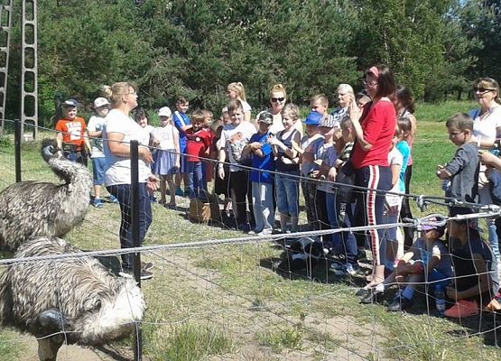 Grafika 6: Wycieczka na Hel