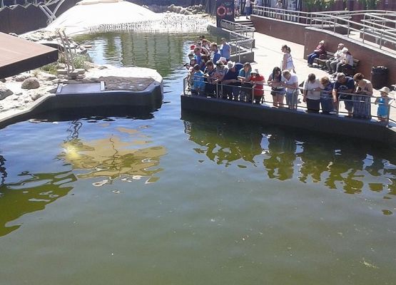 Grafika 2: Wycieczka na Hel