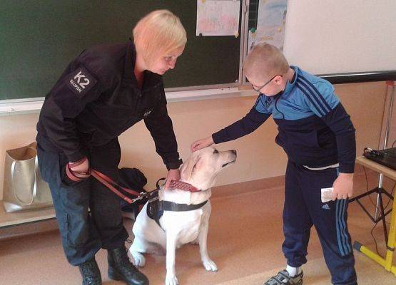 Grafika 2: Przyjaciele zwierząt