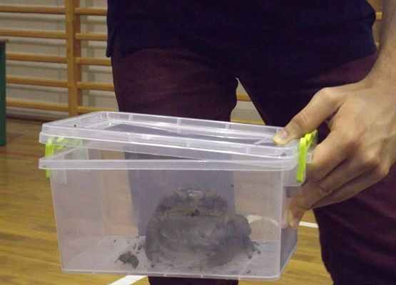 Grafika 5: "Żywa" lekcja przyrody