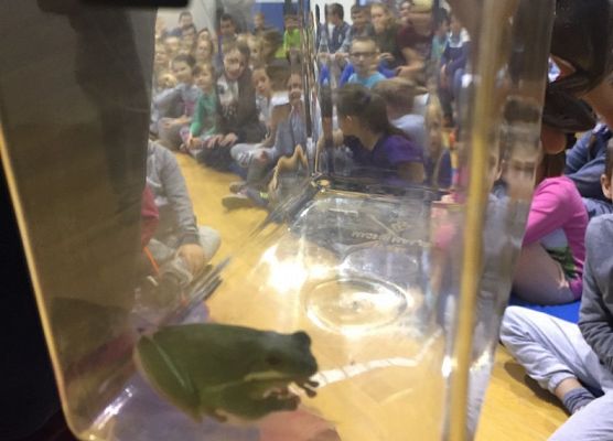 Grafika 9: "Żywa" lekcja przyrody