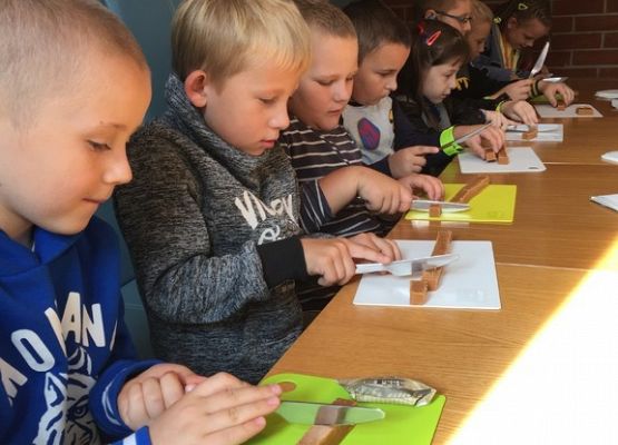 Grafika 4: Spacerkiem po Ustce