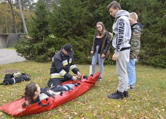 Grafika 4: W wojskowym szyku