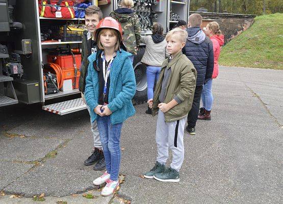 Grafika 9: W wojskowym szyku