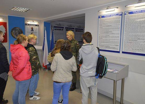 Grafika 10: W wojskowym szyku