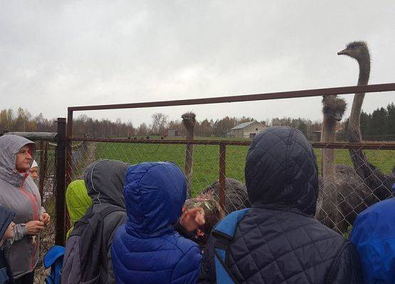 Grafika 9: Szlakiem ciekawych zakątków Szwajcarii Kaszubskiej