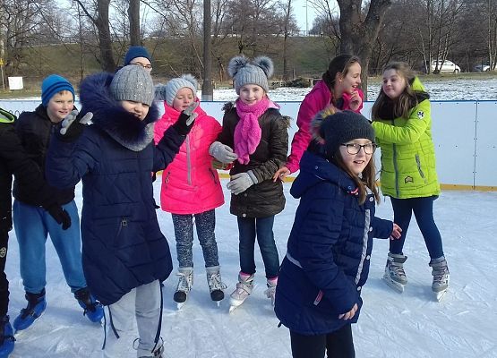 Grafika 8: Zajęcia na lodowisku