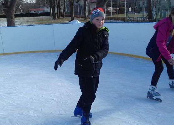 Grafika 3: Zajęcia na lodowisku