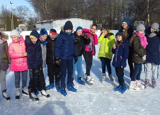 Grafika 2: Zajęcia na lodowisku