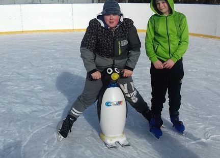 Grafika 5: Zajęcia na lodowisku