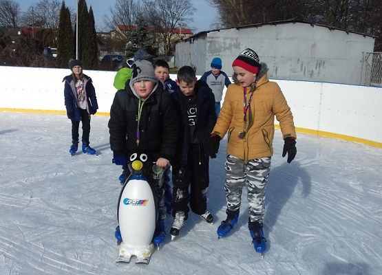 Grafika 6: Zajęcia na lodowisku