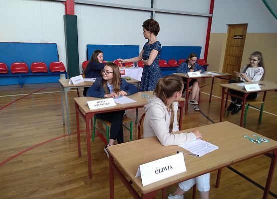 Grafika 7: „Z ortografią za pan brat"