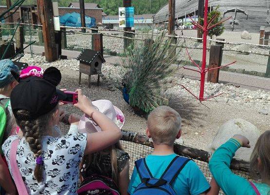 Grafika 6: W Sea Parku