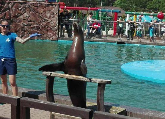 Grafika 7: W Sea Parku