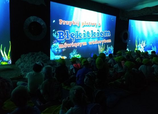 Grafika 8: W Sea Parku