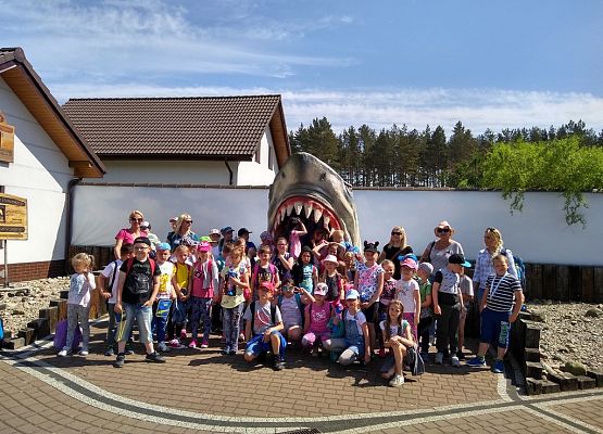 Grafika 3: W Sea Parku