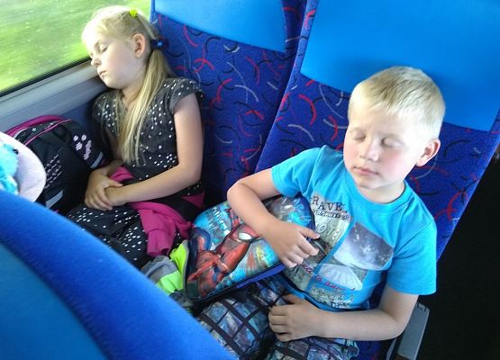 Grafika 9: W Sea Parku