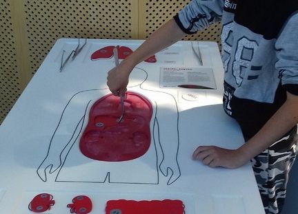 Grafika 7: Wycieczka do Trójmiasta