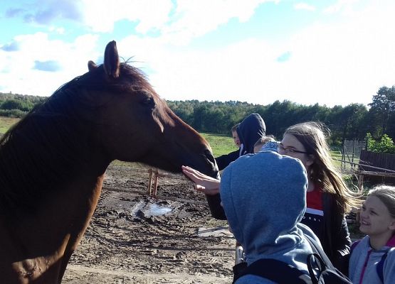 Grafika 8: W Dolinie Charlotty