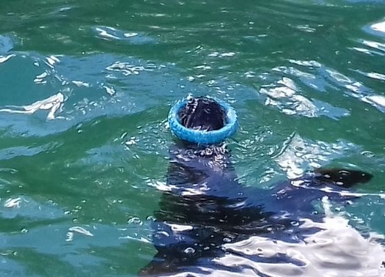 Grafika 3: W Dolinie Charlotty