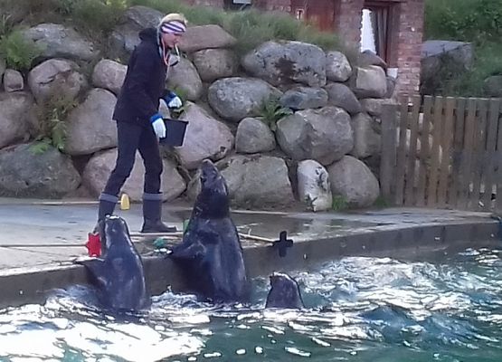 Grafika 4: W Dolinie Charlotty