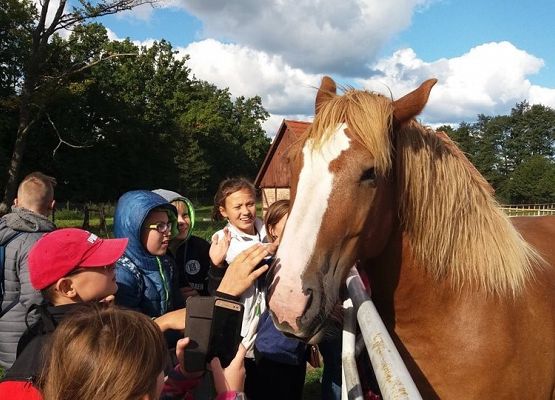 Grafika 6: W Dolinie Charlotty