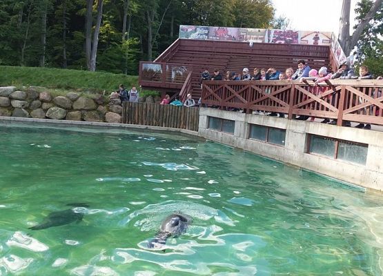 Grafika 2: W Dolinie Charlotty