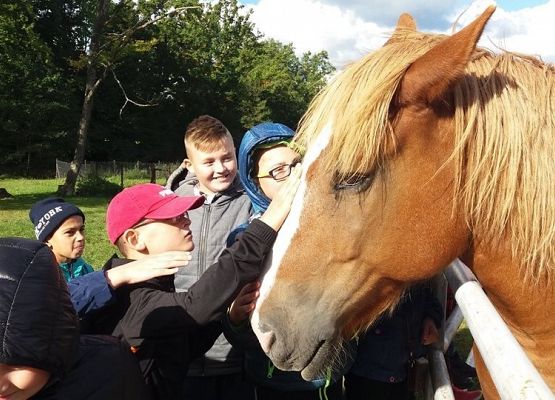 Grafika 7: W Dolinie Charlotty