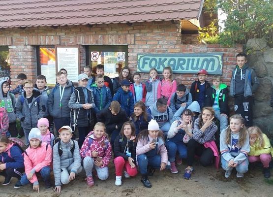 Grafika 1: W Dolinie Charlotty