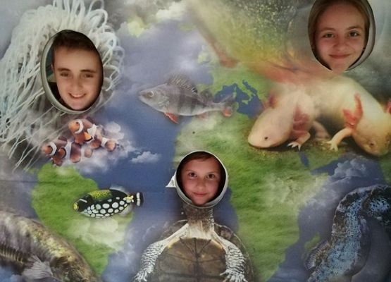 Grafika 1: Kaszuby na fali