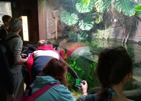 Grafika 2: Kaszuby na fali