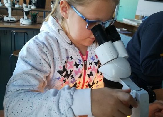 Grafika 4: Kaszuby na fali