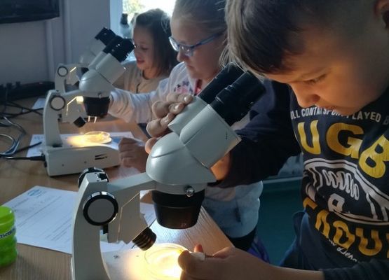 Grafika 5: Kaszuby na fali