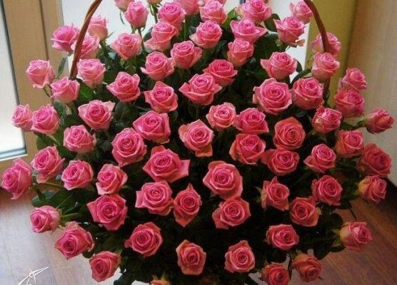 Grafika 1: Dla Babci i Dziadka