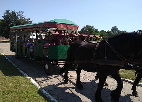 Grafika 1: Na indiańskiej ścieżce