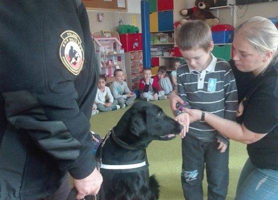 Grafika 1: "Przyjaciele zwierząt - edycja 2019"