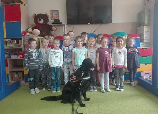 Grafika 3: "Przyjaciele zwierząt - edycja 2019"