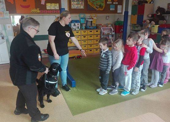 Grafika 4: "Przyjaciele zwierząt - edycja 2019"