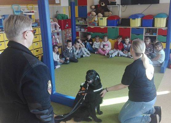 Grafika 5: "Przyjaciele zwierząt - edycja 2019"