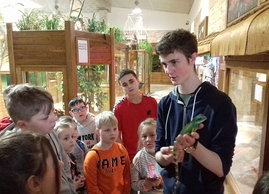 Grafika 4: Egzotycznie i  ludowo, czyli udana wyprawa na Kaszuby