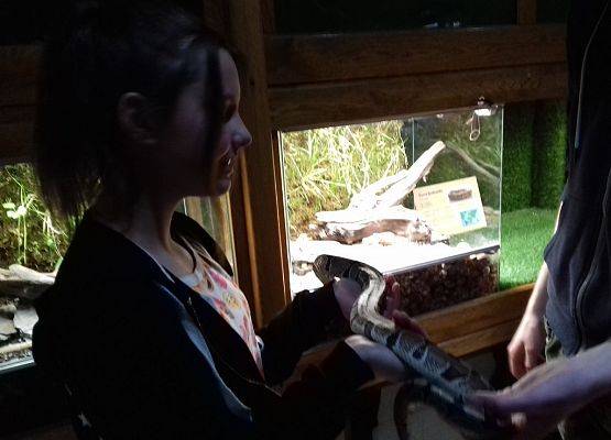 Grafika 8: Egzotycznie i  ludowo, czyli udana wyprawa na Kaszuby