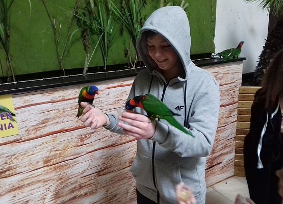 Grafika 7: Egzotycznie i  ludowo, czyli udana wyprawa na Kaszuby