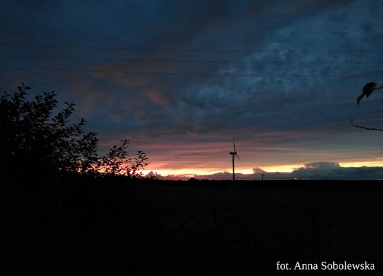 Grafika 40: Mała ojczyzna w obiektywie