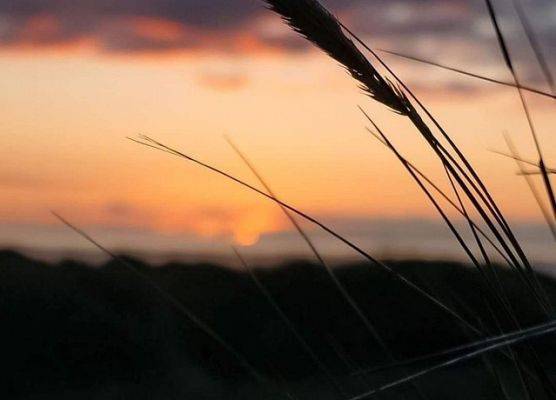 Grafika 37: Mała ojczyzna w obiektywie