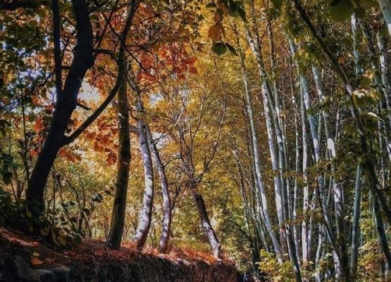 Grafika 36: Mała ojczyzna w obiektywie