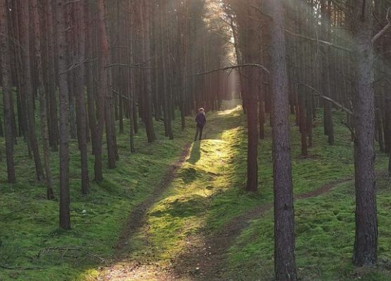 Grafika 35: Mała ojczyzna w obiektywie