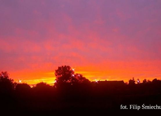 Grafika 33: Mała ojczyzna w obiektywie