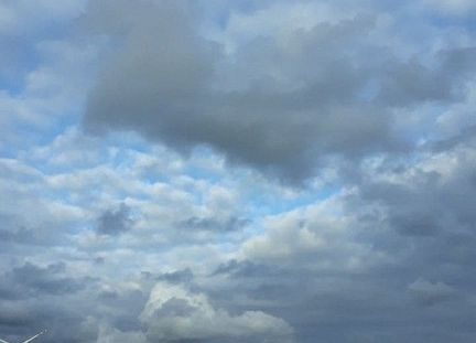 Grafika 29: Mała ojczyzna w obiektywie